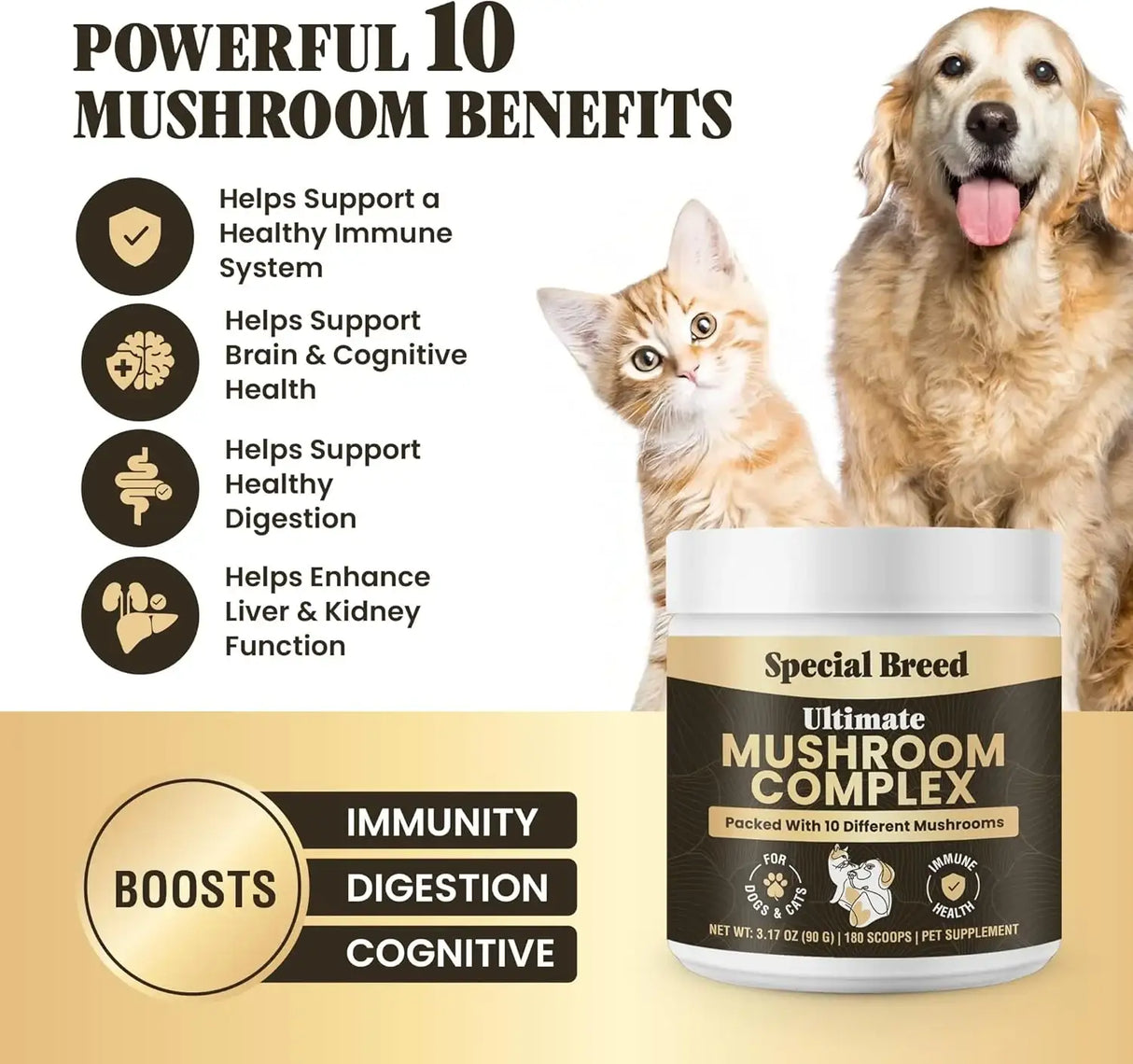 SPECIAL BREED - Special Breed Mushroom Powder for Dogs & Cats 180 Servicios 90Gr. - The Red Vitamin MX - Suplementos Herbales Para Perros - {{ shop.shopifyCountryName }}