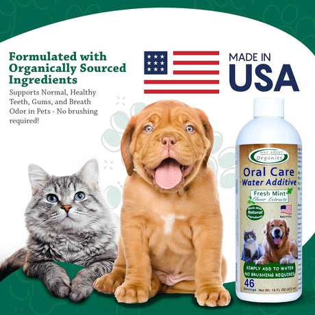 MAD ABOUT ORGANICS - Mad About Organics Oral Care Water Additive for Cats & Dogs Fresh Mint Flavor 473Ml. - The Red Vitamin MX - Cuidado Dental Para Perros - {{ shop.shopifyCountryName }}