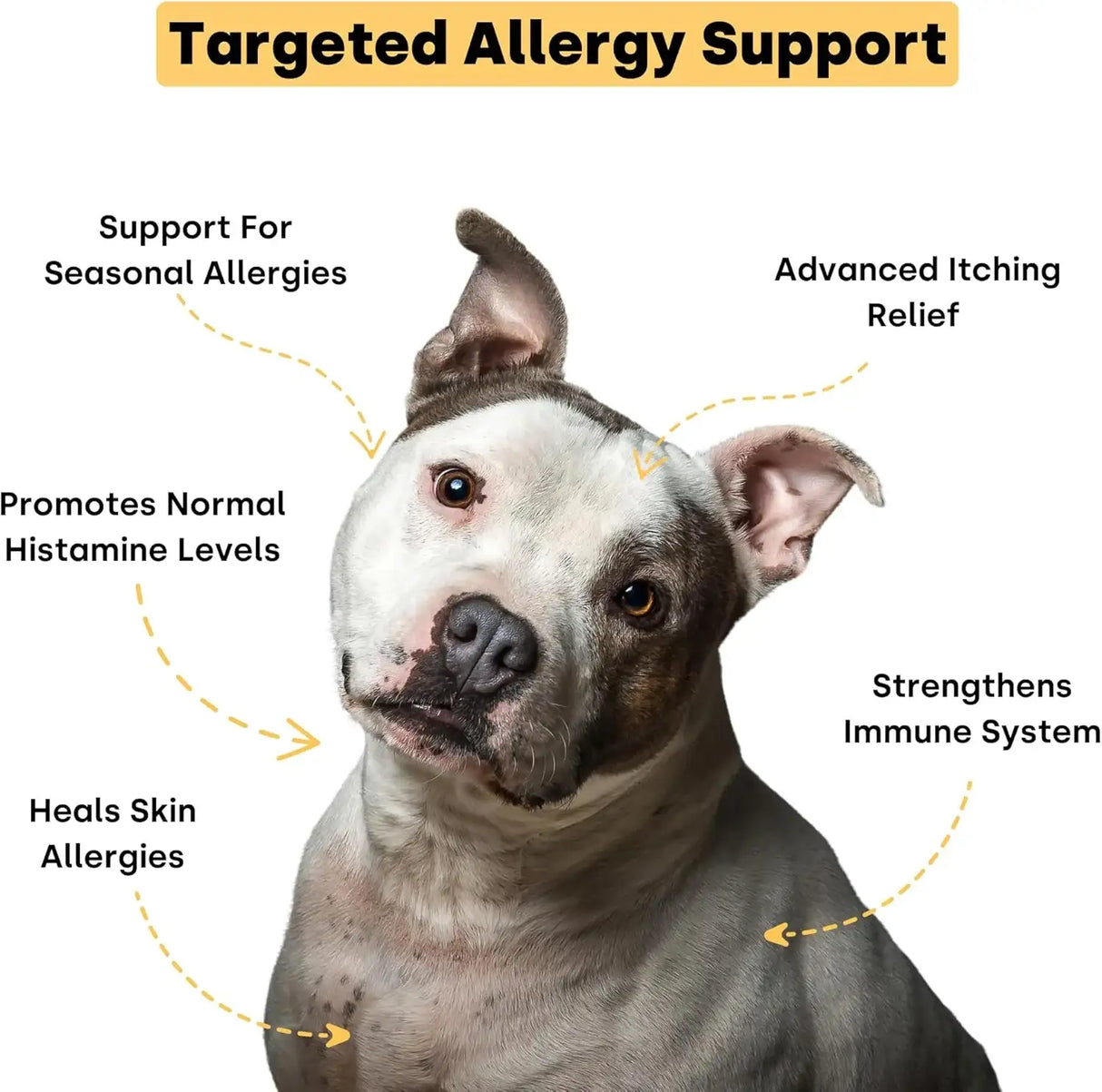 KAYODE - Kayode Itch & Allergy Natural Dog Allergy Chews 90 Masticables - The Red Vitamin MX - Remedios Para La Picazón De Perros - {{ shop.shopifyCountryName }}