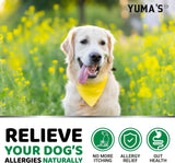 YUMA'S - YUMA'S Dog Allergy Relief Chews Beef Liver Flavor 170 Masticables - The Red Vitamin MX - Remedios Para La Picazón De Perros - {{ shop.shopifyCountryName }}