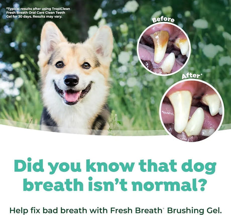 TROPICLEAN - TropiClean Fresh Breath Toothbrush Kit for Small & Medium Dogs 2 Fl.Oz. - The Red Vitamin MX - Cuidado Dental Para Perros - {{ shop.shopifyCountryName }}