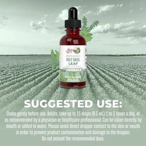 MARY RUTH ORGANICS - MaryRuth Organics Holy Basil Sugar Free 1 Fl.Oz. - The Red Vitamin MX - Suplementos Alimenticios - {{ shop.shopifyCountryName }}