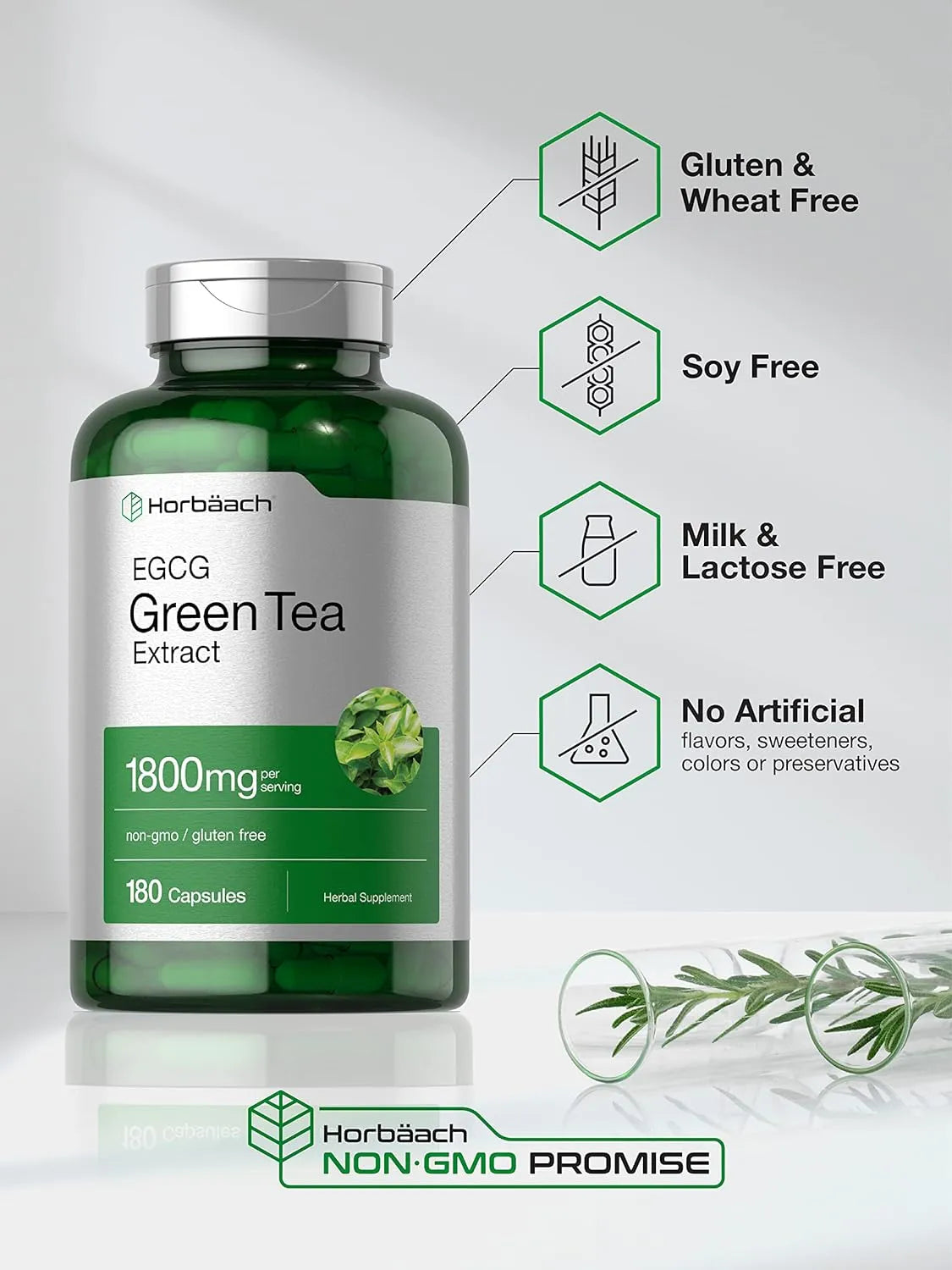 HORBAACH - Horbaach EGCG Green Tea Extract 1800Mg. 180 Capsulas - The Red Vitamin MX - Suplementos Alimenticios - {{ shop.shopifyCountryName }}