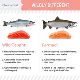 CHEW + HEAL - Chew + Heal Labs Wild Alaskan Salmon Fish Oil for Dogs 32 Fl.Oz. - The Red Vitamin MX - Aceite De Pescado Para Perros - {{ shop.shopifyCountryName }}