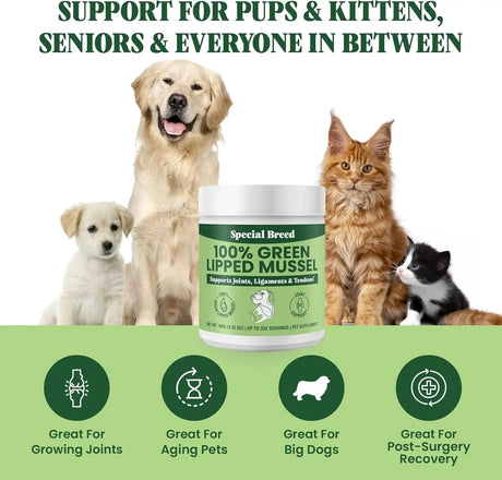 SPECIAL BREED - Special Breed Green Lipped Mussel Powder for Dogs & Cats 100Gr. - The Red Vitamin MX - Cuidado De Cadera Y Articulaciones Para Perros - {{ shop.shopifyCountryName }}