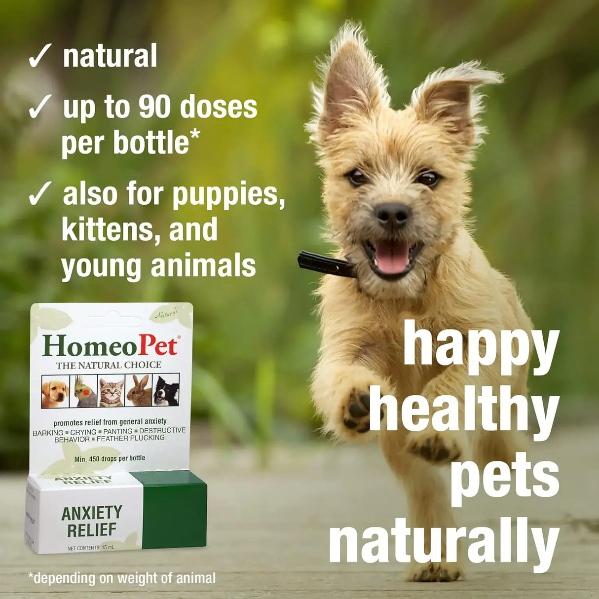 HOMEOPET - HomeoPet Anxiety Relief Medicine for Pets 15Ml. - The Red Vitamin MX - Relajantes Para Perros - {{ shop.shopifyCountryName }}