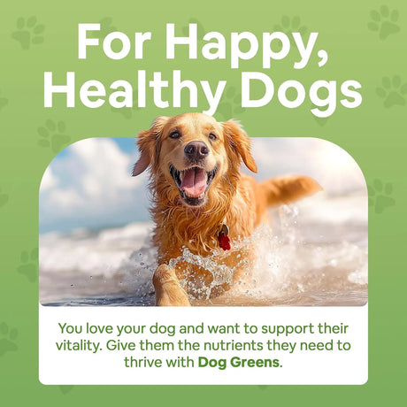 DOG GREENS - Dog Greens Superfood Multivitamin Powder 340Gr. 2 Pack - The Red Vitamin MX - Multivitamínicos Para Perros - {{ shop.shopifyCountryName }}