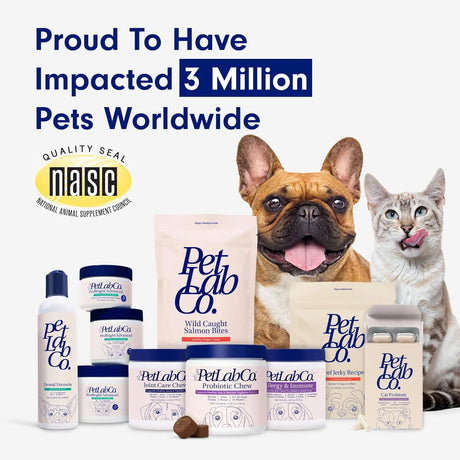 PETLAB CO. - PetLab Co. Allergy & Immune Daily Probiotics Small Size Dogs 30 Masticables - The Red Vitamin MX - Probióticos Para Perros - {{ shop.shopifyCountryName }}