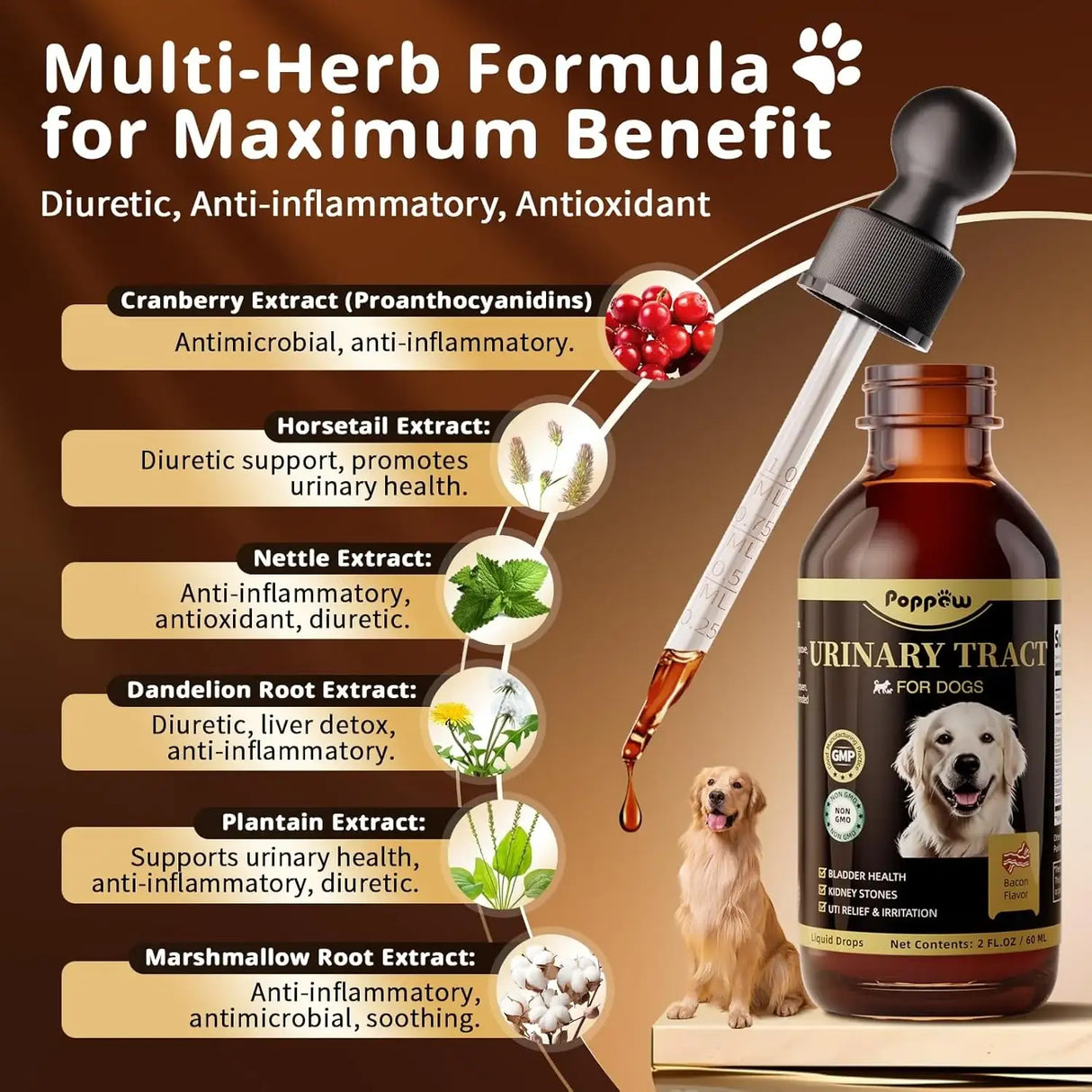 POPPAW - POPPAW Dog UTI Treatment & Urinary Tract Support Bacon Flavor 2 Fl.Oz. - The Red Vitamin MX - Salud De Tracto Urinario Para Perros - {{ shop.shopifyCountryName }}