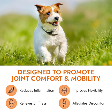 PET VET - Pet Vet Glucosamine Hip & Joint Supplement for Dogs 60 Masticables - The Red Vitamin MX - Cuidado De Cadera Y Articulaciones Para Perros - {{ shop.shopifyCountryName }}