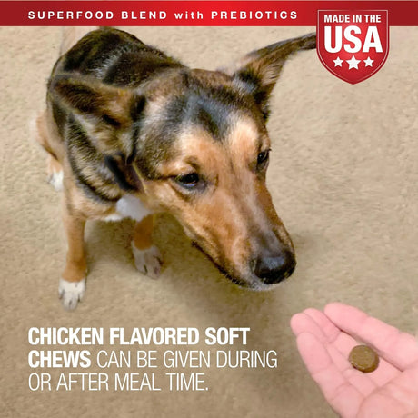 VETIQ - VetIQ Multivitamin Supplement for Dogs Hickory Smoke Flavored 90 Masticables - The Red Vitamin MX - Multivitamínicos Para Perros - {{ shop.shopifyCountryName }}