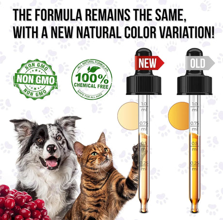 GOLDEN PAW - Golden Paw Liquid Multivitamin for Dogs 2 Fl.Oz. - The Red Vitamin MX - Multivitamínicos Para Perros - {{ shop.shopifyCountryName }}