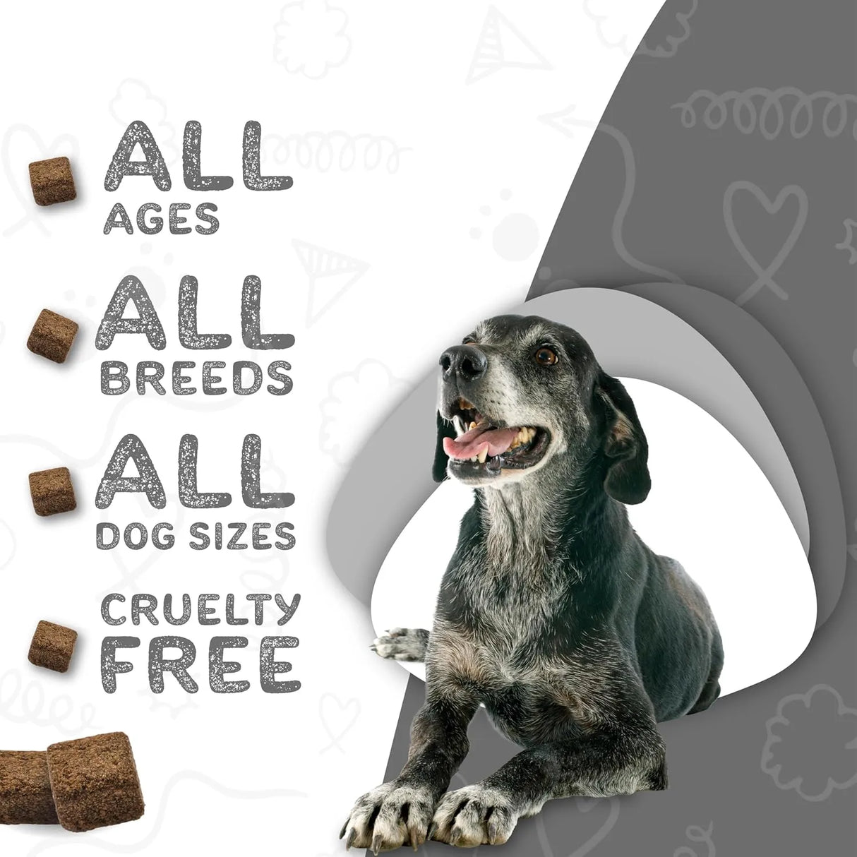 WAGGEDY - waggedy Daily Essentials Senior Soft Chews with Glucosamine 60 Masticables - The Red Vitamin MX - Multivitamínicos Para Perros - {{ shop.shopifyCountryName }}
