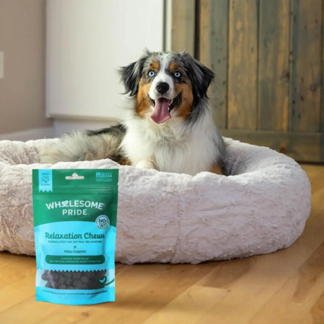 WHOLESOME PRIDE - Wholesome Pride Calming Supplement for Dogs 90 Masticables - The Red Vitamin MX - Relajantes Para Perros - {{ shop.shopifyCountryName }}