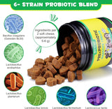 OIMMAL - Oimmal Probiotics for Dogs Digestive Health 120 Masticables - The Red Vitamin MX - Probióticos Para Perros - {{ shop.shopifyCountryName }}