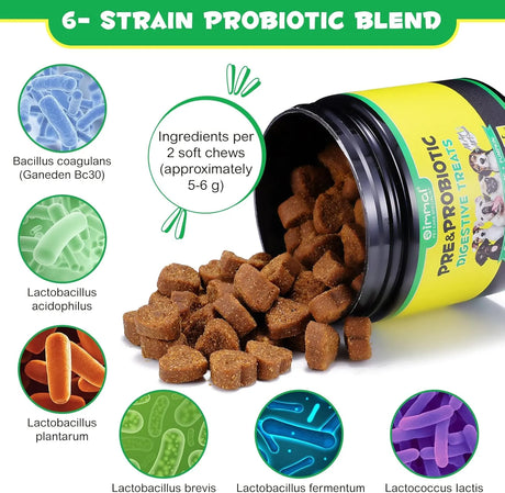 OIMMAL - Oimmal Probiotics for Dogs Digestive Health 120 Masticables - The Red Vitamin MX - Probióticos Para Perros - {{ shop.shopifyCountryName }}