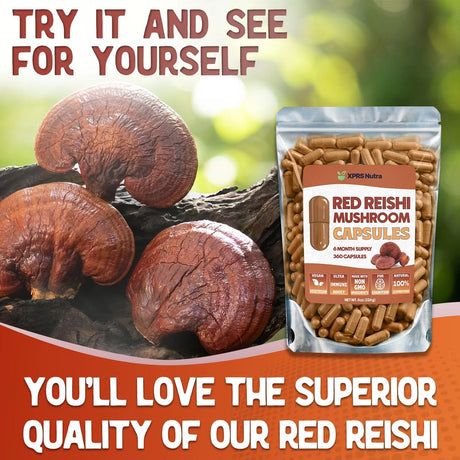 XPRS NUTRA - XPRS Nutra Reishi Mushroom 360 Capsulas - The Red Vitamin MX - Suplementos Alimenticios - {{ shop.shopifyCountryName }}