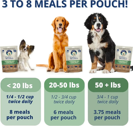 UNDER THE WEATHER - Under the Weather Bland Diet for Dogs Rice Hamburger & Bone Broth 6 Oz. 2 - The Red Vitamin MX - Medicamentos Sin Receta Para Perros - {{ shop.shopifyCountryName }}