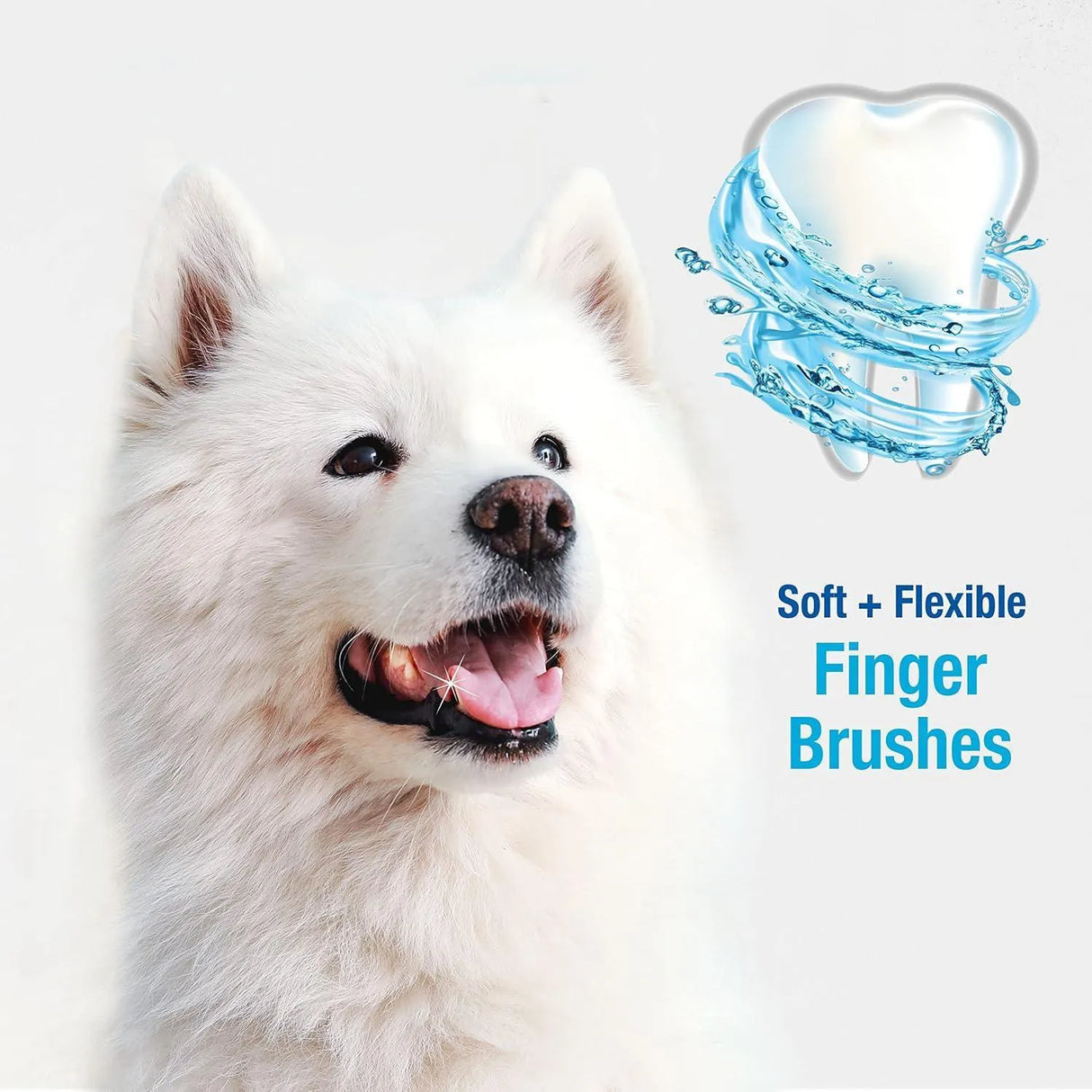 NYLABONE - Nylabone Advanced Oral Care Finger Brush 2 Piezas - The Red Vitamin MX - Cuidado Dental Para Perros - {{ shop.shopifyCountryName }}