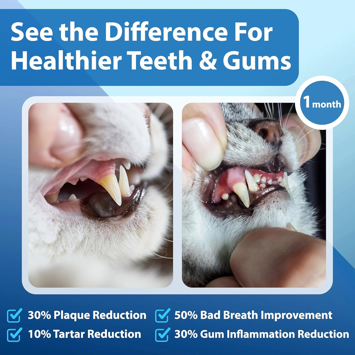 Spanielbuns Cat Dental Care Powder Bad Breath Treatment for Cats Teeth 80Gr.