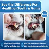 Spanielbuns Cat Dental Care Powder Bad Breath Treatment for Cats Teeth 80Gr.
