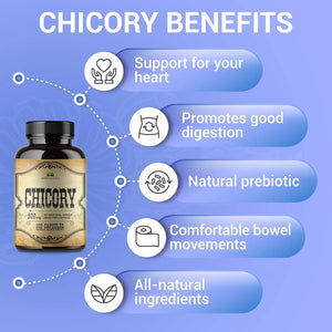 HERBALICIOUS - HERBALICIOUS Chicory Root 100 Capsulas - The Red Vitamin MX - Suplementos Alimenticios - {{ shop.shopifyCountryName }}