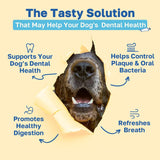 HAPPY PAWS - Happy Paws Dental Chews for Dogs Spearmint Flavor 100 Masticables 2 Pack - The Red Vitamin MX - Cuidado Dental Para Perros - {{ shop.shopifyCountryName }}