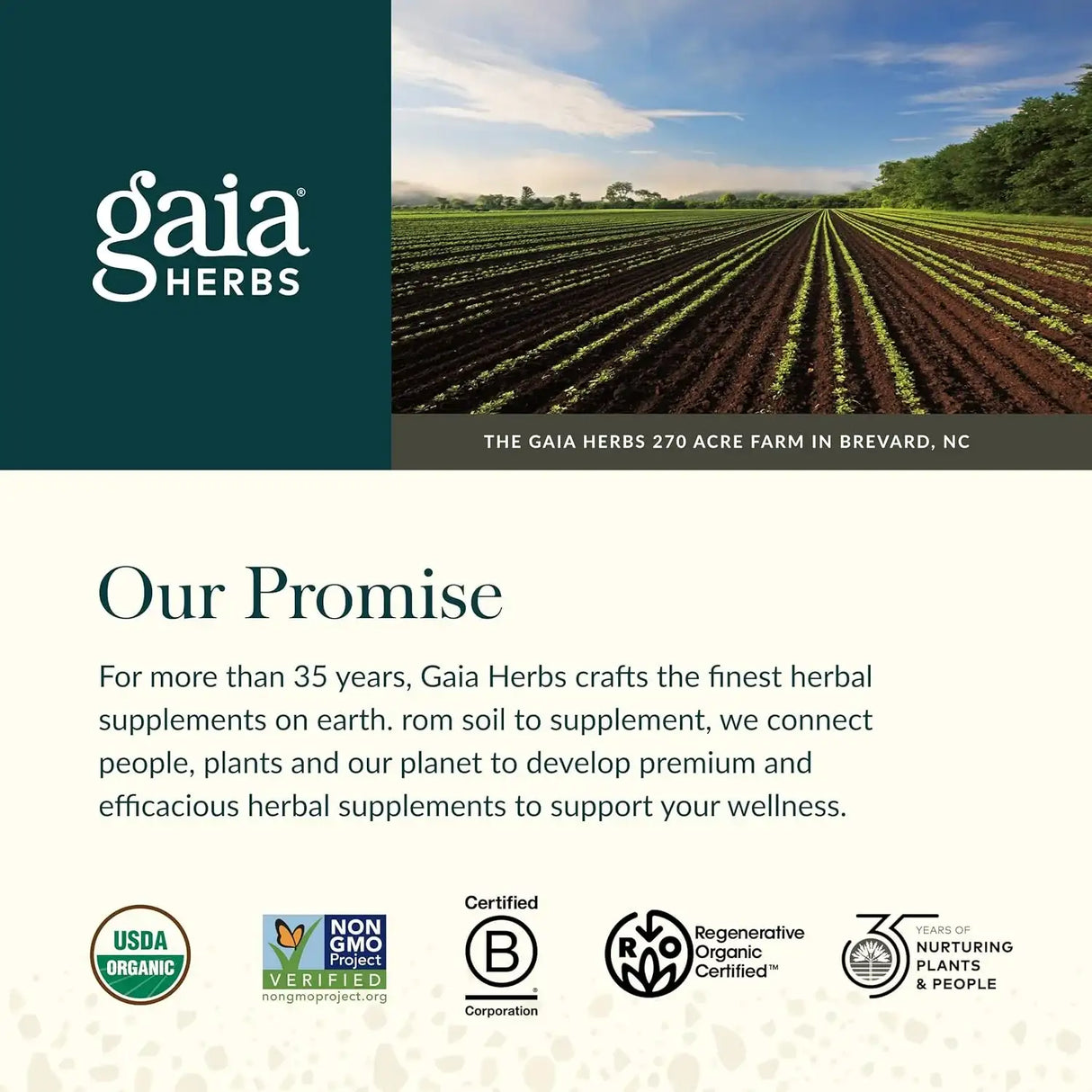 GAIA HERBS - Gaia Herbs Sound Sleep 120 Capsulas - The Red Vitamin MX - Suplementos Alimenticios - {{ shop.shopifyCountryName }}