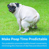 PAWSAFE - PawSafe Dog Probiotics Honey Chicken Flavor 120 Masticables - The Red Vitamin MX - Probióticos Para Perros - {{ shop.shopifyCountryName }}