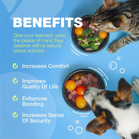 CHEWIA - CHEWIA Fish Oil for Dogs and Cats 8 Fl.Oz. - The Red Vitamin MX - Aceite De Pescado Para Perros - {{ shop.shopifyCountryName }}