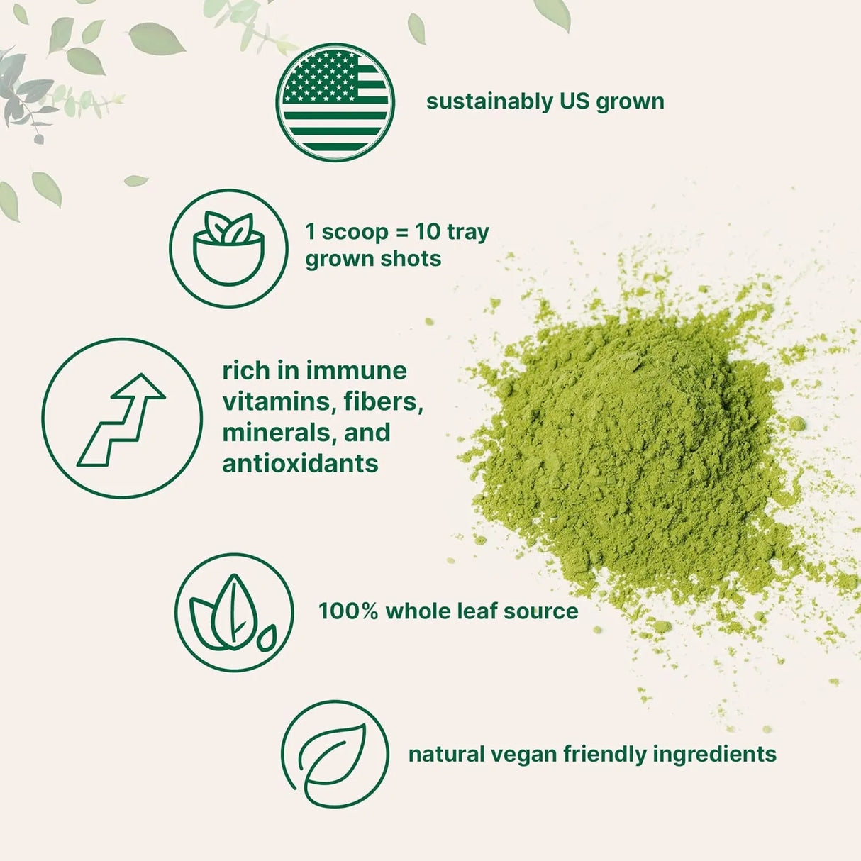 MICRO INGREDIENTS - Micro Ingredients Organic Wheat Grass Powder 454Gr. - The Red Vitamin MX - Suplementos Alimenticios - {{ shop.shopifyCountryName }}