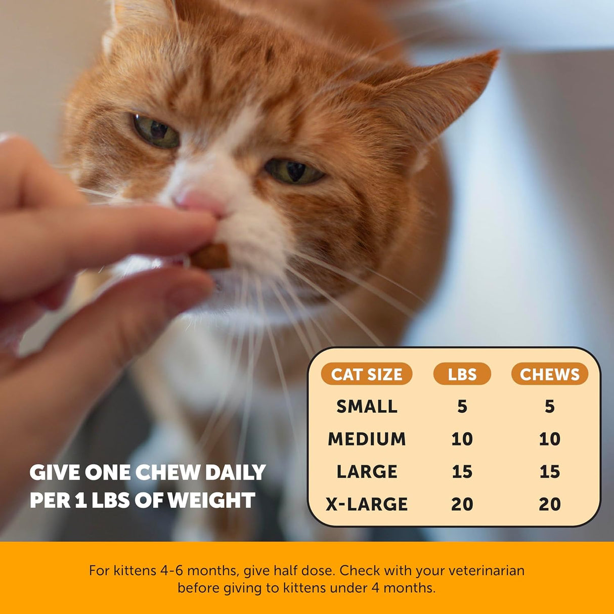 Pet Honesty Cat Immune Support Lysine 100Gr.