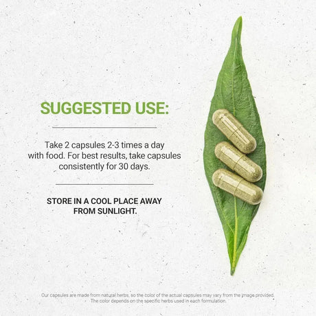 SECRETS OF THE TRIBE - Secrets of the Tribe Horsetail 1000Mg. 120 Capsulas - The Red Vitamin MX - Suplementos Alimenticios - {{ shop.shopifyCountryName }}