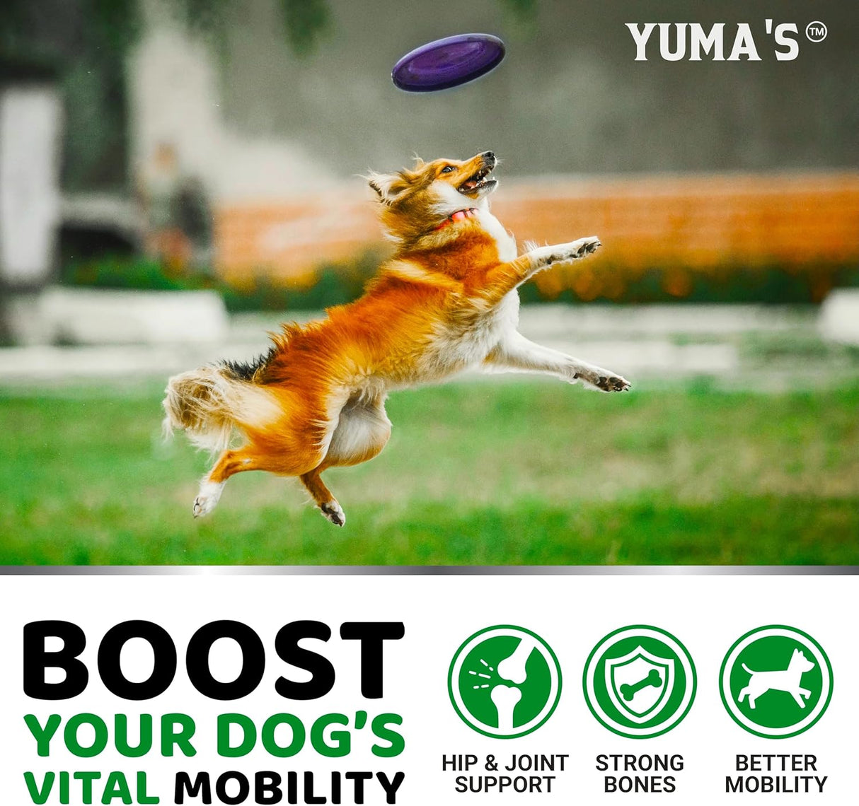 YUMA'S Glucosamine for Dogs Hip and Joint Supplement 170 Masticables