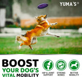 YUMA'S Glucosamine for Dogs Hip and Joint Supplement 170 Masticables