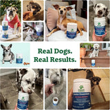 DOGGIE DAILIES - Doggie Dailies Senior Essentials Multivitamin for Dogs Bacon Flavor 120 Masticables - The Red Vitamin MX - Multivitamínicos Para Perros - {{ shop.shopifyCountryName }}
