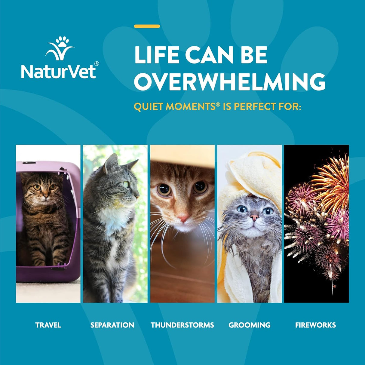 NaturVet Scoopables Quiet Moments Cat Calming Aid Salmon Flavored 157Gr.