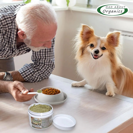 MAD ABOUT ORGANICS - Mad About Organics Dog or Cat Oral Care Powder 127Gr. - The Red Vitamin MX - Cuidado Dental Para Perros - {{ shop.shopifyCountryName }}