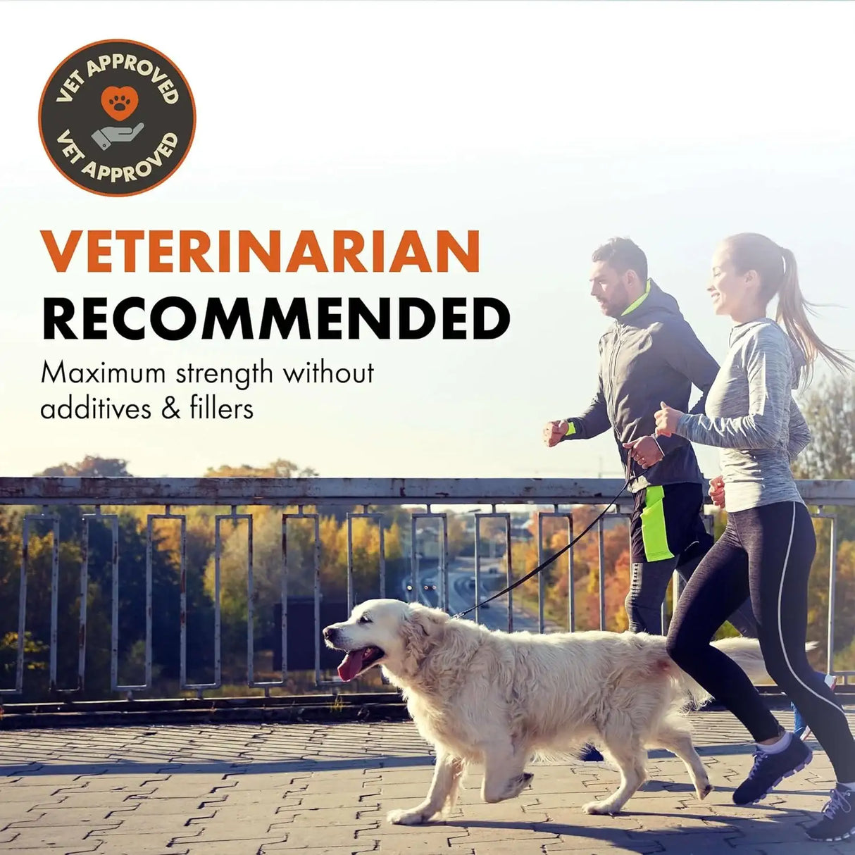 ALPHA DOG NUTRITION - Alpha Dog Nutrition Free Range Joint Health Enhancer Supplement Powder for Dogs 109Gr. - The Red Vitamin MX - Cuidado De Cadera Y Articulaciones Para Perros - {{ shop.shopifyCountryName }}