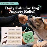 NATURAL DOG - Natural Dog Company Calming Chews for Dogs 90 Masticables - The Red Vitamin MX - Relajantes Para Perros - {{ shop.shopifyCountryName }}