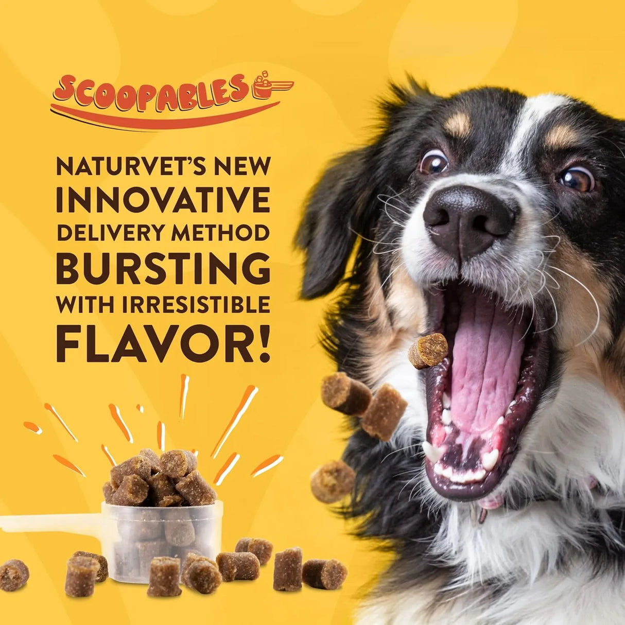NATURVET - NaturVet Scoopables All-in-One Multivitamin for Dogs 45 Servicios 315Gr. - The Red Vitamin MX - Multivitamínicos Para Perros - {{ shop.shopifyCountryName }}