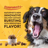 NATURVET - NaturVet Scoopables All-in-One Multivitamin for Dogs 45 Servicios 315Gr. - The Red Vitamin MX - Multivitamínicos Para Perros - {{ shop.shopifyCountryName }}