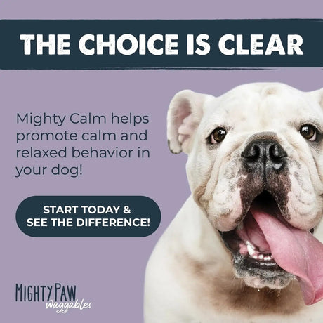 MIGHTY PAW - Mighty Paw Calming Chews for Dogs with Melatonin 120 Masticables - The Red Vitamin MX - Relajantes Para Perros - {{ shop.shopifyCountryName }}