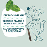 SHAMELESS PETS - Shameless Pets Banana Bone-Anza Dental Treats for Dogs 8 Piezas - The Red Vitamin MX - Cuidado Dental Para Perros - {{ shop.shopifyCountryName }}