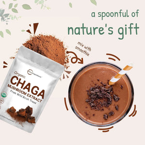 MICRO INGREDIENTS - Micro Ingredients Organic Chaga Mushroom Extract 100:1 Powder 283Gr. - The Red Vitamin MX - Suplementos Alimenticios - {{ shop.shopifyCountryName }}