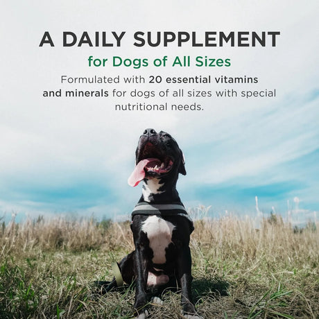 PET TABS - Pet-Tabs Plus Multivitamin and Mineral Supplement for Dogs 180 Tabletas - The Red Vitamin MX - Multivitamínicos Para Perros - {{ shop.shopifyCountryName }}