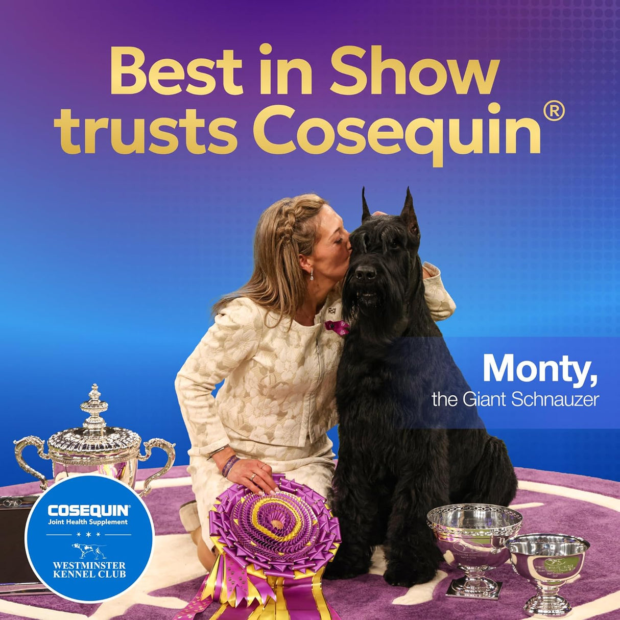 Nutramax Laboratories Cosequin Maximum Strength Joint Health Supplement for Dogs 132 Tabletas Masticables