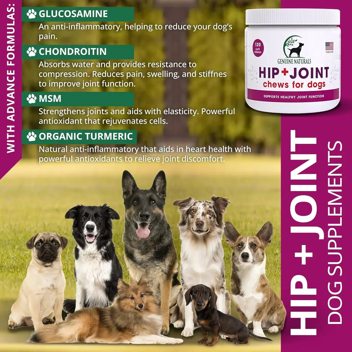 GENUINE NATURALS - Genuine Naturals Hip and Joint Supplement for Dogs 120 Masticables - The Red Vitamin MX - Cuidado De Cadera Y Articulaciones Para Perros - {{ shop.shopifyCountryName }}