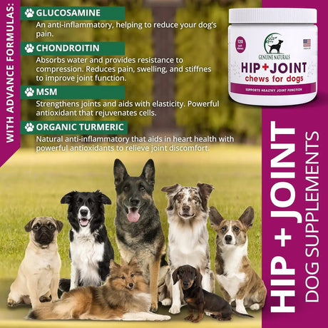 GENUINE NATURALS - Genuine Naturals Hip and Joint Supplement for Dogs 120 Masticables - The Red Vitamin MX - Cuidado De Cadera Y Articulaciones Para Perros - {{ shop.shopifyCountryName }}