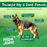 VITAL PLANET - Vital Planet Hip and Joint Soft Chews for Dogs Bacon Flavored 30 Masticables - The Red Vitamin MX - Cuidado De Cadera Y Articulaciones Para Perros - {{ shop.shopifyCountryName }}